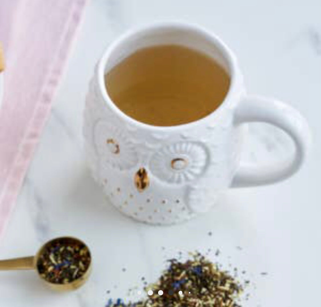 Olivia Ceramic Owl Mug