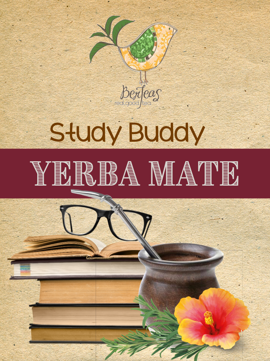 Study Buddy Yerba Mate – Bertea's