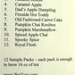 Fall Collection Sample Box