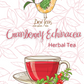 Cranberry Echinacea