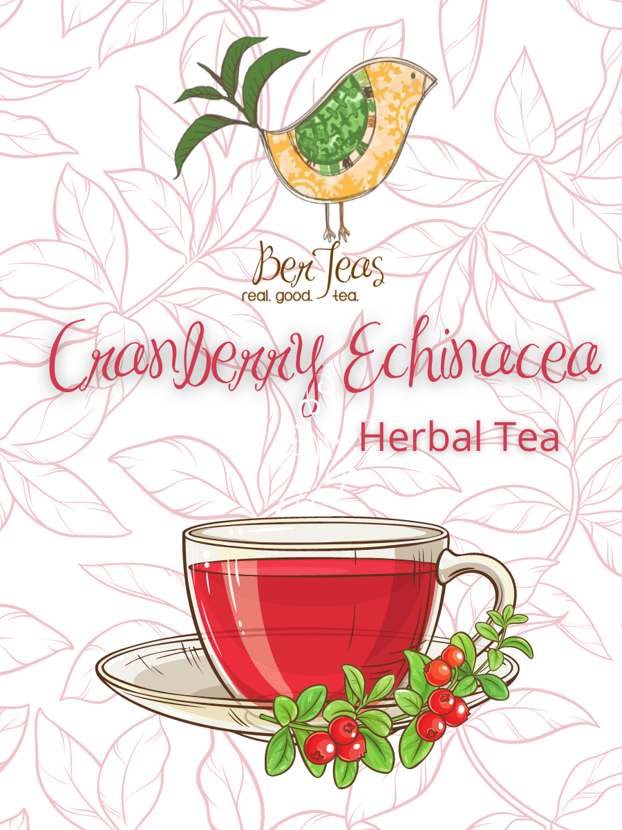 Cranberry Echinacea