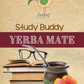 Study Buddy Yerba Mate