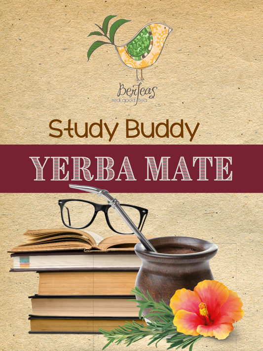 Study Buddy Yerba Mate