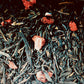 Strawberry Fields DECAF Green Tea